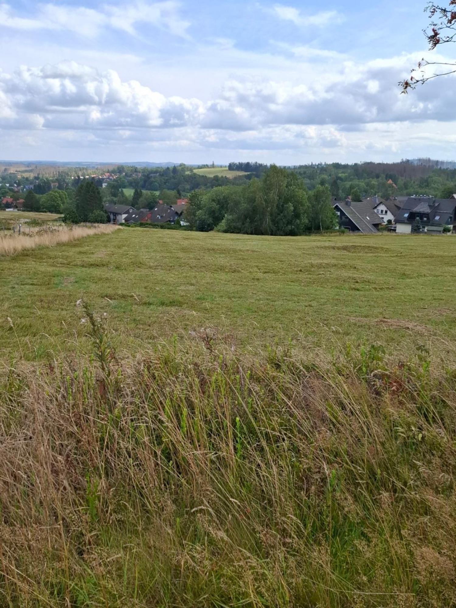 Hochwald Appartement Bad Sachsa Luaran gambar